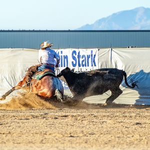 Meet your Posher, Callee